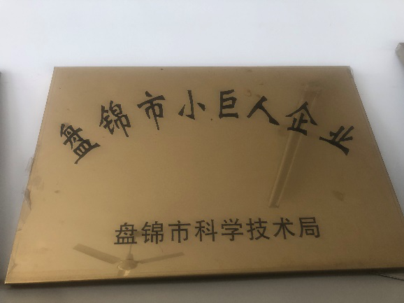 盤(pán)錦市小巨人企業(yè)獎(jiǎng)牌.png